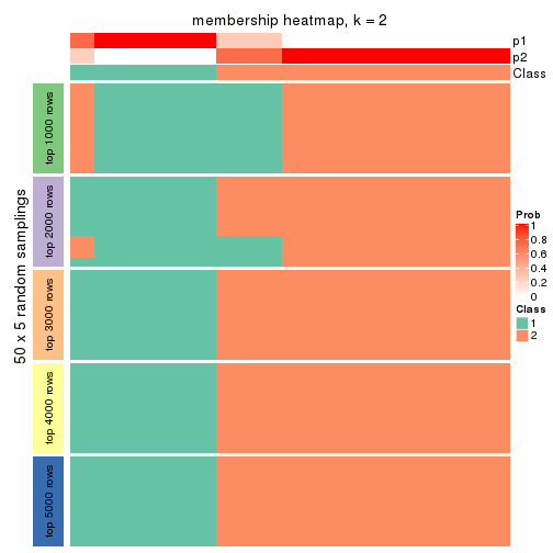 plot of chunk tab-CV-hclust-membership-heatmap-1