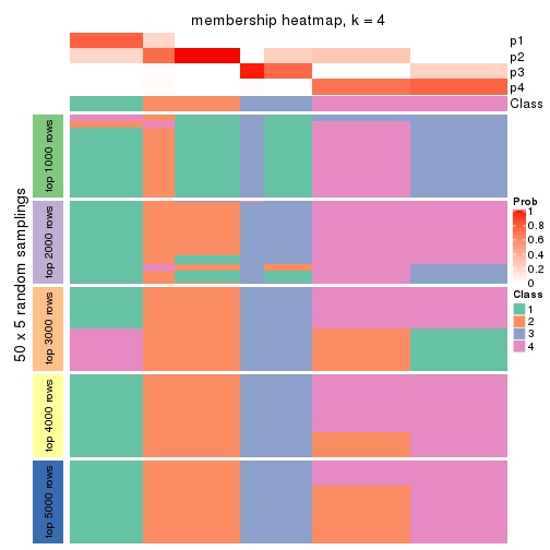 plot of chunk tab-CV-hclust-membership-heatmap-3