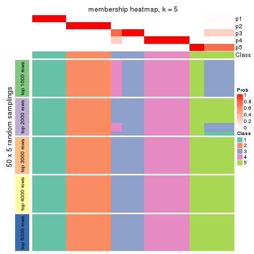 plot of chunk tab-CV-hclust-membership-heatmap-4