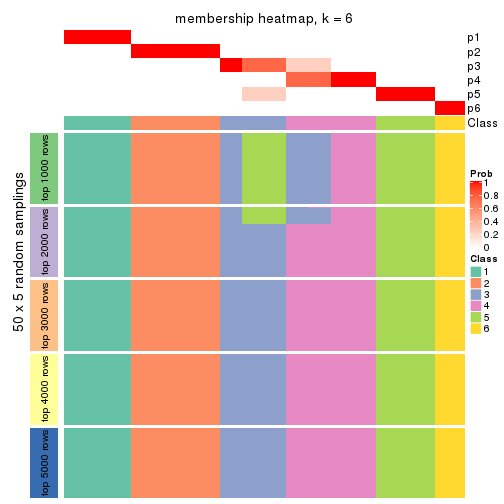 plot of chunk tab-CV-hclust-membership-heatmap-5