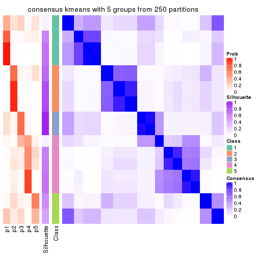 plot of chunk tab-CV-kmeans-consensus-heatmap-4