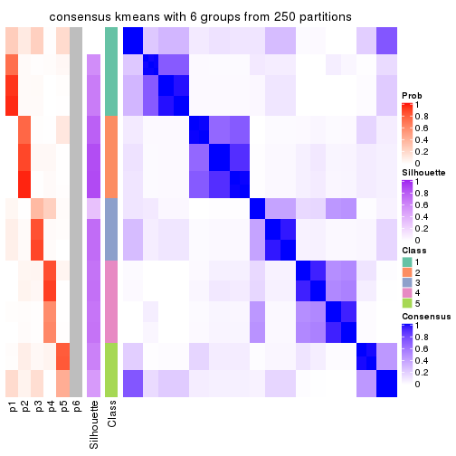 plot of chunk tab-CV-kmeans-consensus-heatmap-5