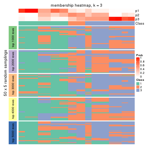 plot of chunk tab-CV-kmeans-membership-heatmap-2