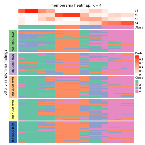 plot of chunk tab-CV-kmeans-membership-heatmap-3