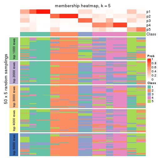 plot of chunk tab-CV-kmeans-membership-heatmap-4