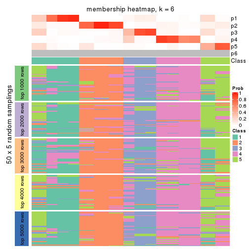 plot of chunk tab-CV-kmeans-membership-heatmap-5