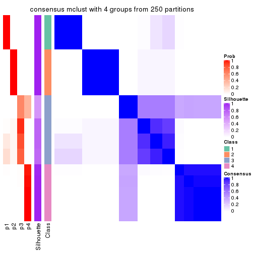 plot of chunk tab-CV-mclust-consensus-heatmap-3