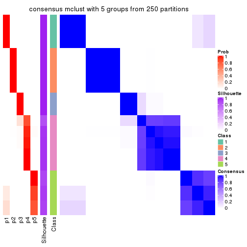 plot of chunk tab-CV-mclust-consensus-heatmap-4