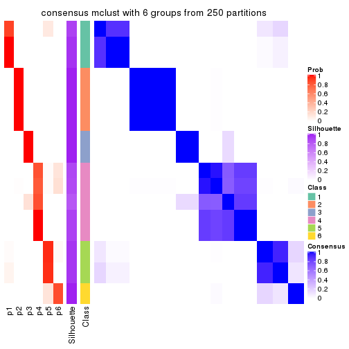 plot of chunk tab-CV-mclust-consensus-heatmap-5