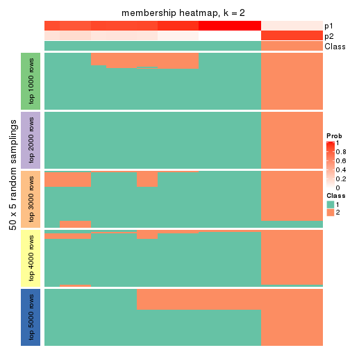 plot of chunk tab-CV-mclust-membership-heatmap-1