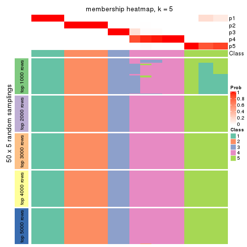 plot of chunk tab-CV-mclust-membership-heatmap-4