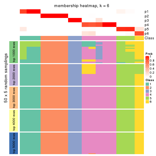 plot of chunk tab-CV-mclust-membership-heatmap-5