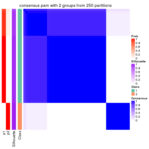 plot of chunk tab-CV-pam-consensus-heatmap-1