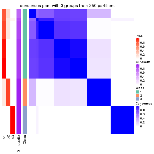 plot of chunk tab-CV-pam-consensus-heatmap-2