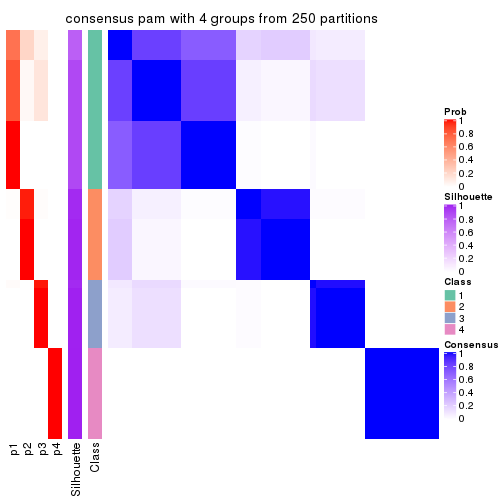 plot of chunk tab-CV-pam-consensus-heatmap-3