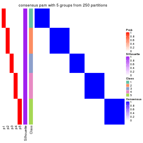 plot of chunk tab-CV-pam-consensus-heatmap-4