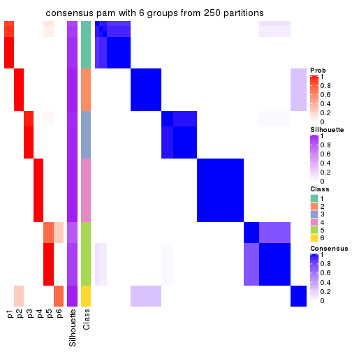 plot of chunk tab-CV-pam-consensus-heatmap-5