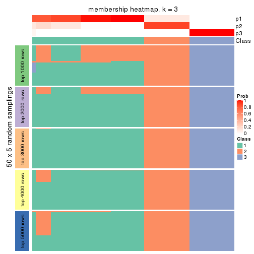 plot of chunk tab-CV-pam-membership-heatmap-2