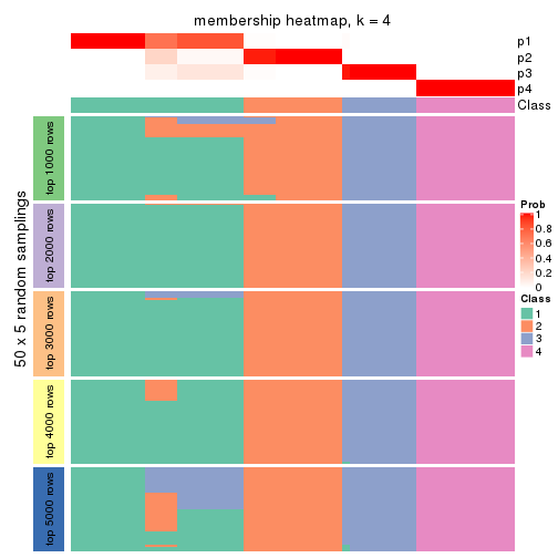 plot of chunk tab-CV-pam-membership-heatmap-3