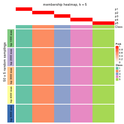 plot of chunk tab-CV-pam-membership-heatmap-4