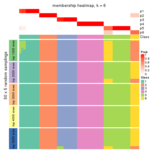 plot of chunk tab-CV-pam-membership-heatmap-5