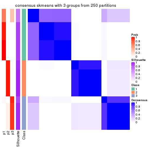 plot of chunk tab-CV-skmeans-consensus-heatmap-2