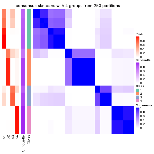 plot of chunk tab-CV-skmeans-consensus-heatmap-3