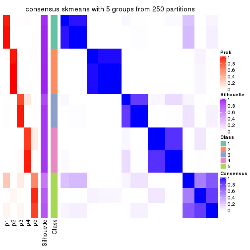 plot of chunk tab-CV-skmeans-consensus-heatmap-4