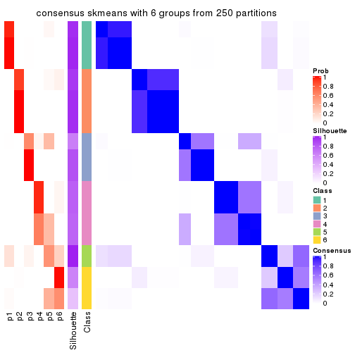 plot of chunk tab-CV-skmeans-consensus-heatmap-5