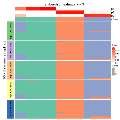 plot of chunk tab-CV-skmeans-membership-heatmap-2