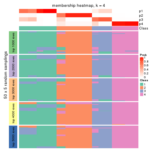 plot of chunk tab-CV-skmeans-membership-heatmap-3