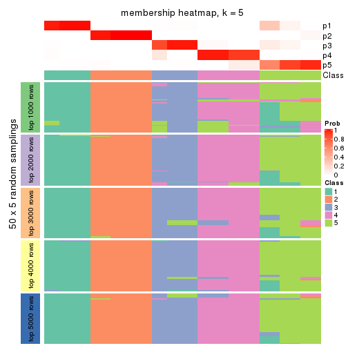 plot of chunk tab-CV-skmeans-membership-heatmap-4