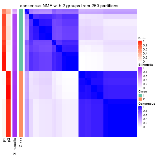 plot of chunk tab-MAD-NMF-consensus-heatmap-1