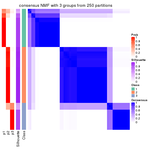 plot of chunk tab-MAD-NMF-consensus-heatmap-2