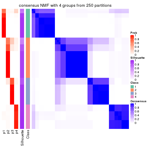 plot of chunk tab-MAD-NMF-consensus-heatmap-3