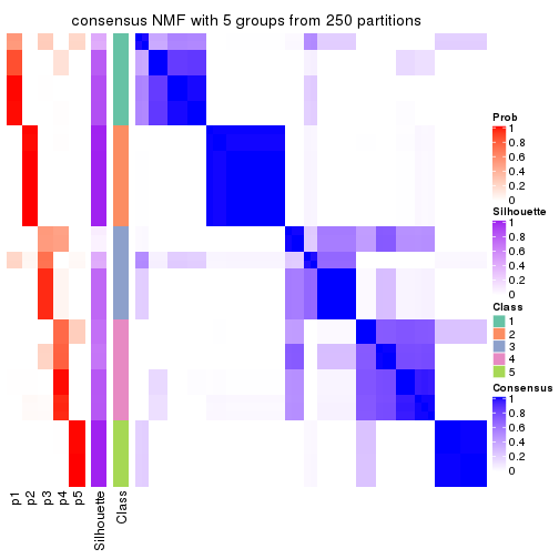 plot of chunk tab-MAD-NMF-consensus-heatmap-4