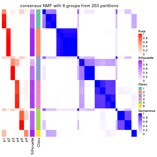 plot of chunk tab-MAD-NMF-consensus-heatmap-5