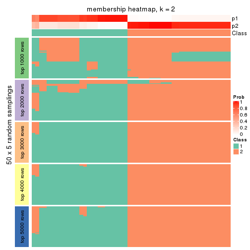 plot of chunk tab-MAD-NMF-membership-heatmap-1