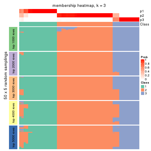 plot of chunk tab-MAD-NMF-membership-heatmap-2