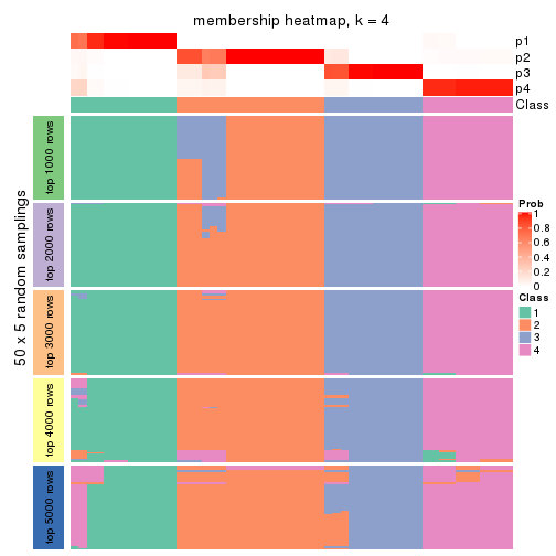 plot of chunk tab-MAD-NMF-membership-heatmap-3