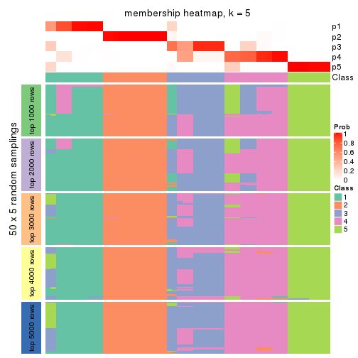 plot of chunk tab-MAD-NMF-membership-heatmap-4