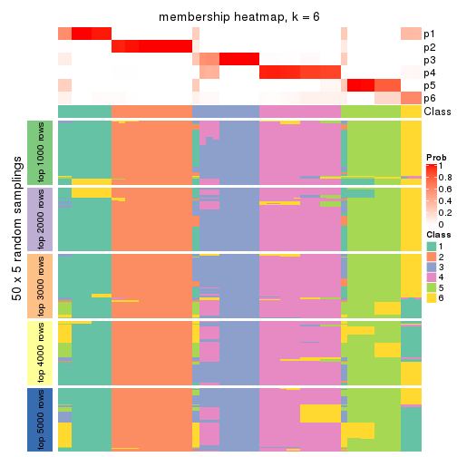 plot of chunk tab-MAD-NMF-membership-heatmap-5