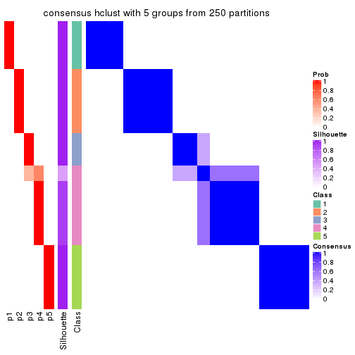 plot of chunk tab-MAD-hclust-consensus-heatmap-4