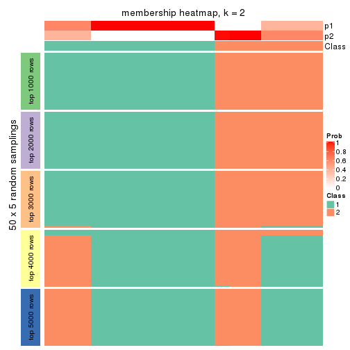 plot of chunk tab-MAD-hclust-membership-heatmap-1