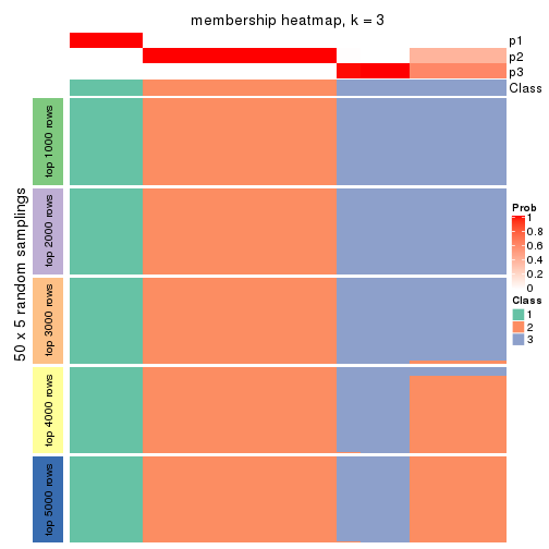 plot of chunk tab-MAD-hclust-membership-heatmap-2