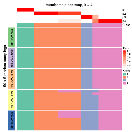 plot of chunk tab-MAD-hclust-membership-heatmap-3