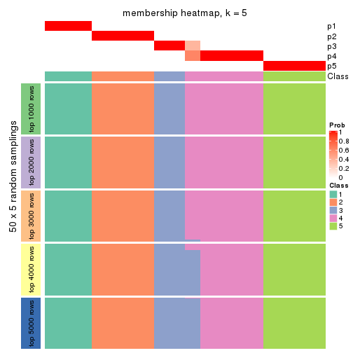 plot of chunk tab-MAD-hclust-membership-heatmap-4