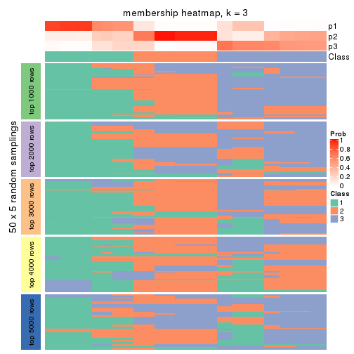 plot of chunk tab-MAD-kmeans-membership-heatmap-2