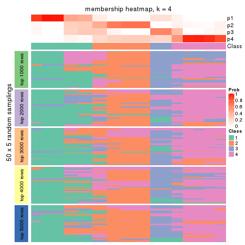 plot of chunk tab-MAD-kmeans-membership-heatmap-3