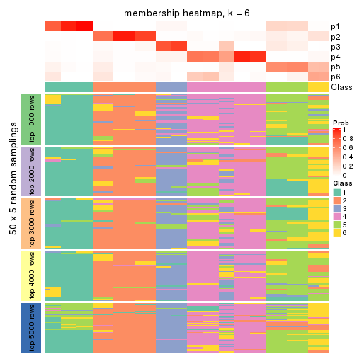 plot of chunk tab-MAD-kmeans-membership-heatmap-5